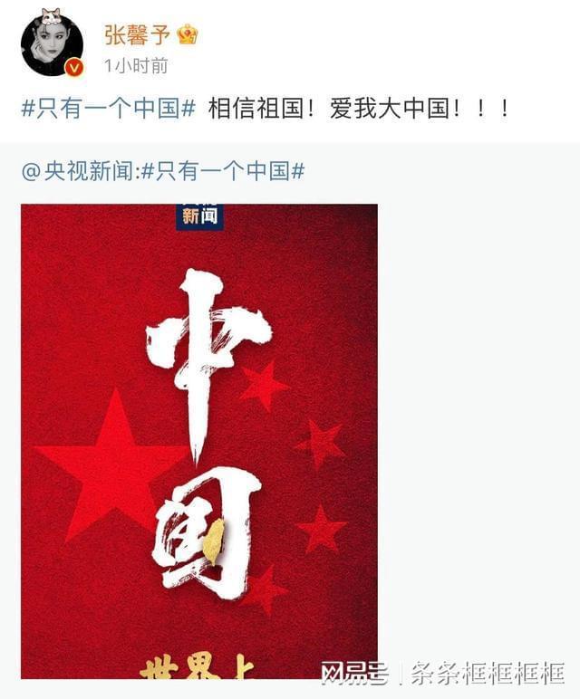 史上最胖柴犬,一脸鄙视看着人们说道:愚蠢的人类你们都没我胖
